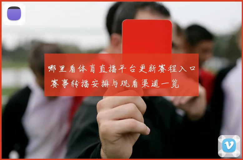 哪里看体育直播平台更新赛程入口 赛事转播安排与观看渠道一览